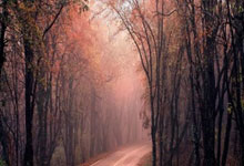 乌拉圭为何不与中国建交？事实是，乌拉圭早已与中国建交！